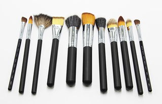 簡約美妝新選擇 九支化妝刷與家居護(hù)理用品的貼心組合