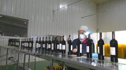 六十七團(tuán):延伸釀酒葡萄全產(chǎn)業(yè)&ldquo;鏈動(dòng)&rdquo;區(qū)域經(jīng)濟(jì)大發(fā)展