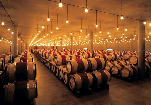 葡萄酒圈的鄙視鏈都有哪些